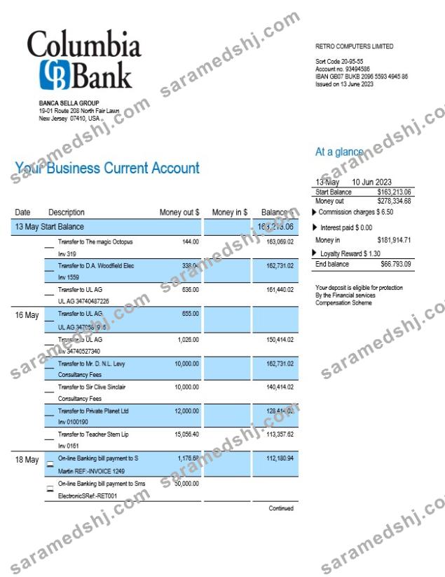 Columbia Bank enterprise account statement Word and PDF template